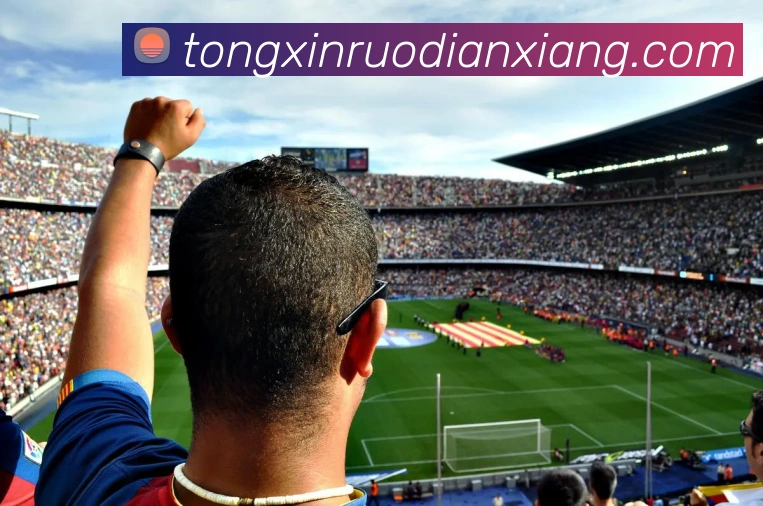 联合创始人